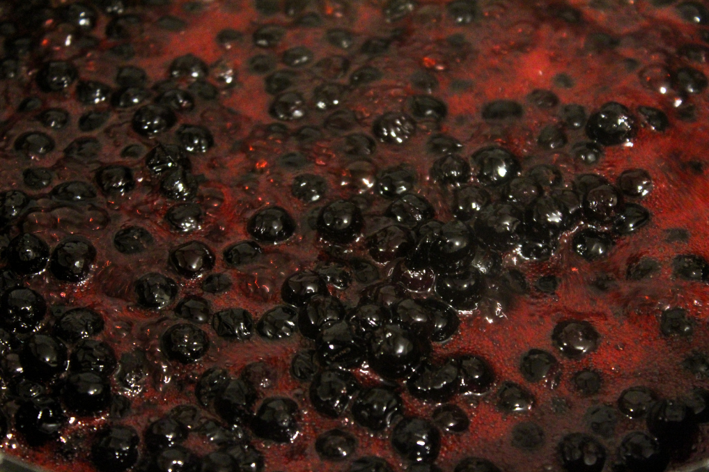 svartsurbær oppskrift